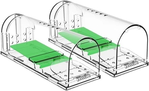 Humane mouse traps live - 2x,
