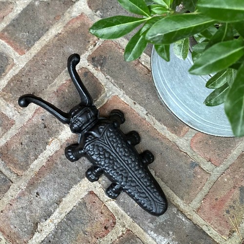 Cast iron beetle - beetle, jack