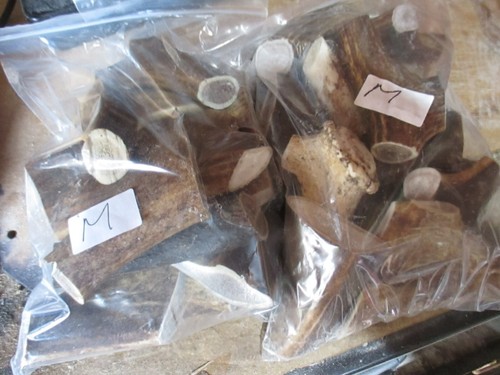 Deer antler chews - deer, kg+