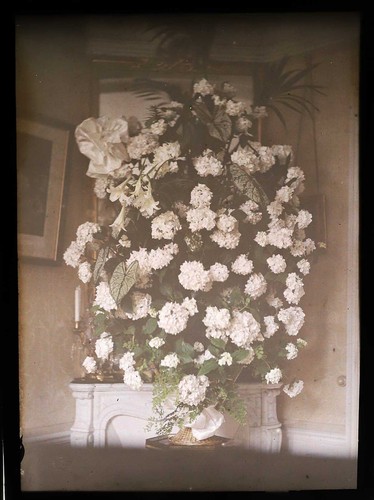Autochrome photograph bouquet - photograph,