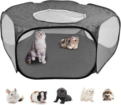 Doduos foldable pop pet - foldable, pop-up