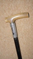 Antique Walking Stick Bovine Horn & Hallmarked Silver Collar 1902 Western Choir