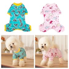 for Chihuahua Yorkie Winter