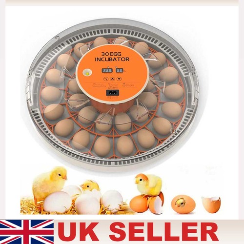 Egg digital incubator - 30,