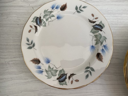Set colclough bone - set,