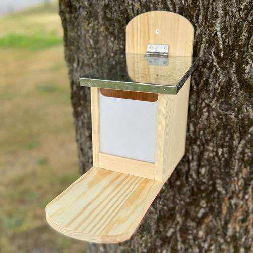 Wooden wall mounted squirrel - wall,