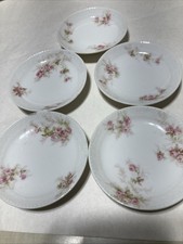 6 Haviland & Co Limoges