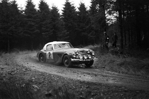 Timo makinen paul easter - timo,