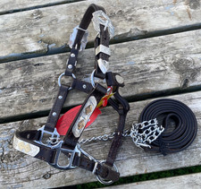 Miniature horse dark brown leather Western show halter w/brass accents