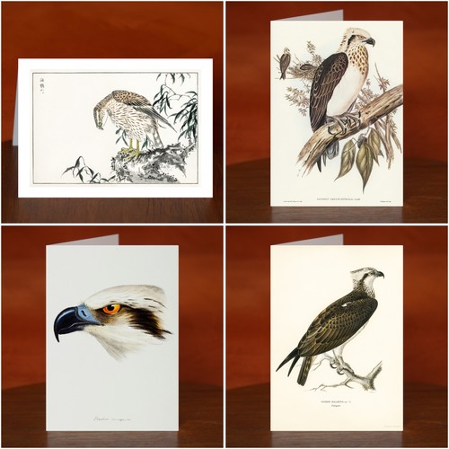 Osprey art print greeting - osprey,