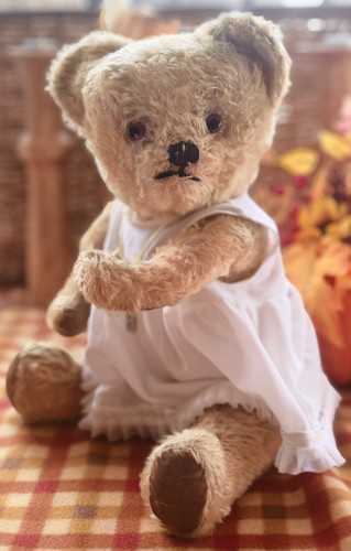 Old vintage teddy - old, bear