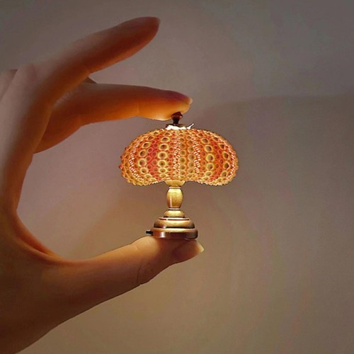 Mini sea urchin novelty night - novelty,