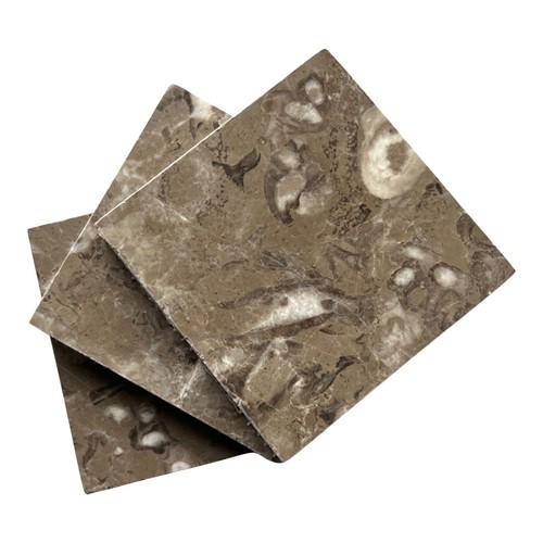 Fossil brown 4x4 polished - brown,