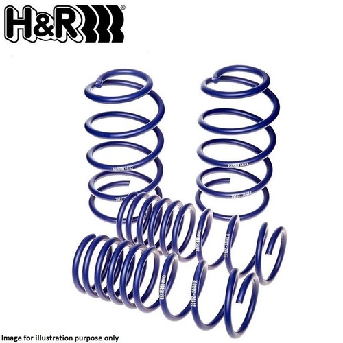 Lowering springs to - 20/40,