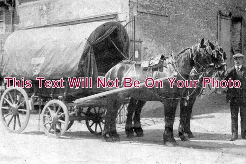 803 shire horse cart - 803,