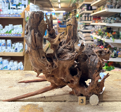 Med large ancient root - med/large, wood