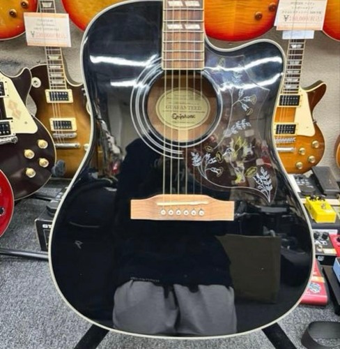 Epiphone hummingbird performer - epiphone,