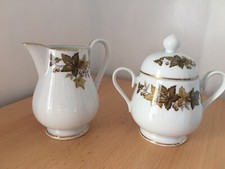 Vintage Irish china jug, sugar bowl by Capitol pattern N486 Autumn Tale