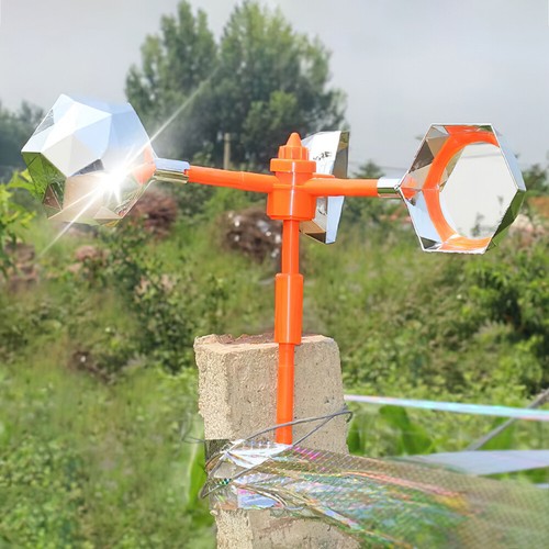 360 gull scarer pigeon bird - gull,