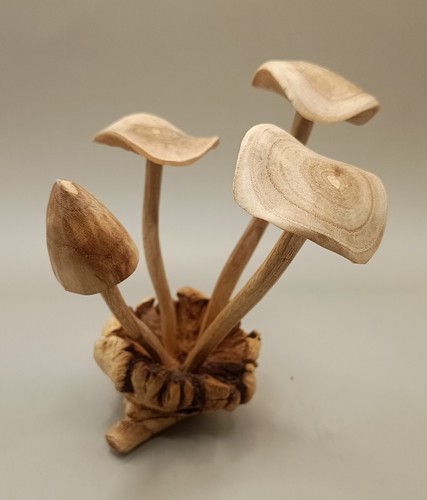 Hand carved wooden mushroom - carved,