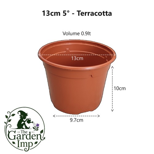 Plant pots plastic - plant,