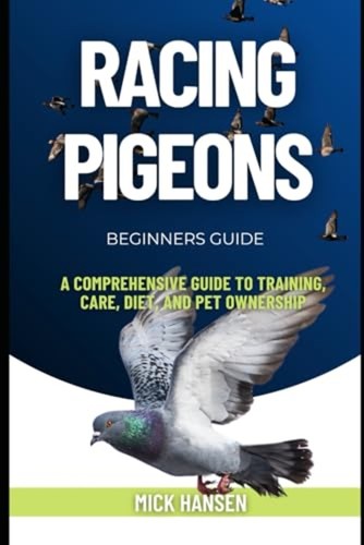 Racing pigeons a - pigeons,