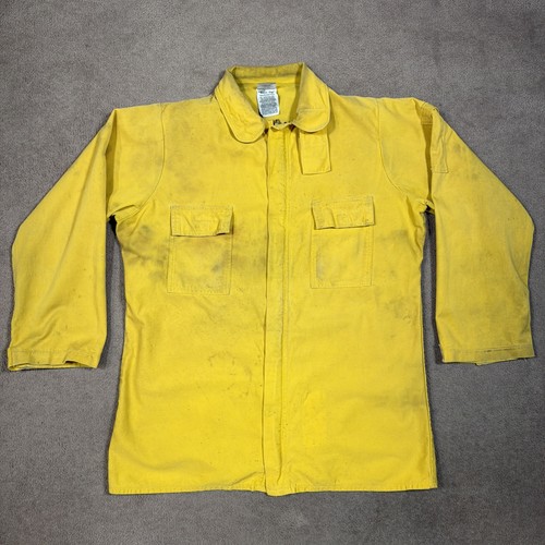 Wildland firefighter forest - wildland,