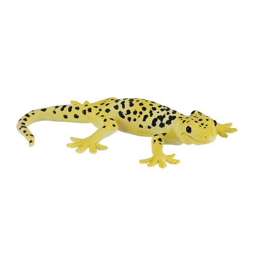 Mojo leopard gecko wild - gecko, zoo