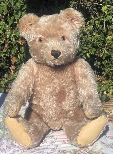 Hector adorable large - adorable, 20"
