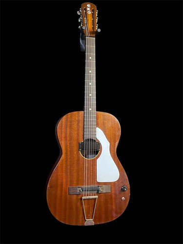 Vintage parlour guitar with - vintage,