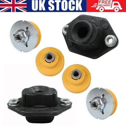 Rear upper lower shock - rear,