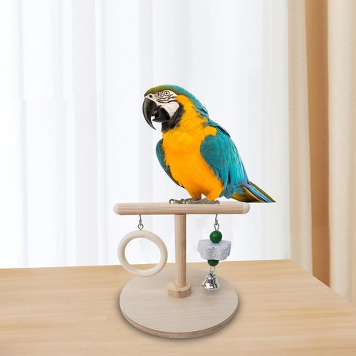 Parrots playstand bird - parrots,