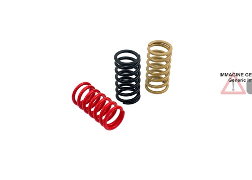 Clutch springs h40 gold - clutch,