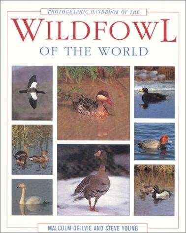 Photographic handbook the - photographic,