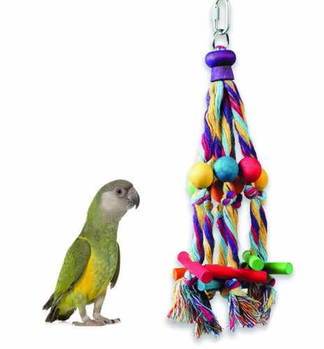 Happy pet octopus rope wood - &,