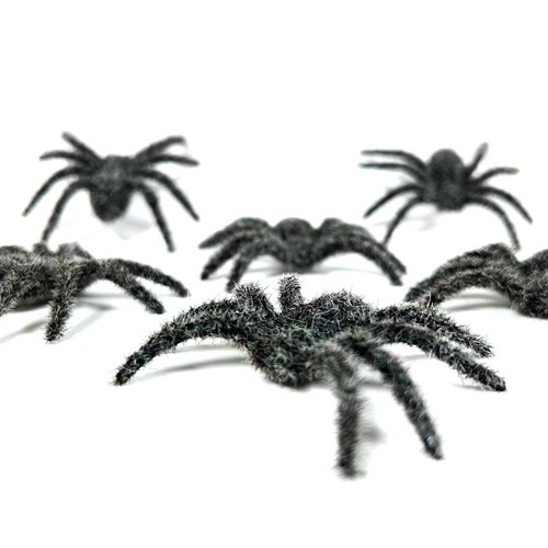 Realistic spiders pack - pack, of