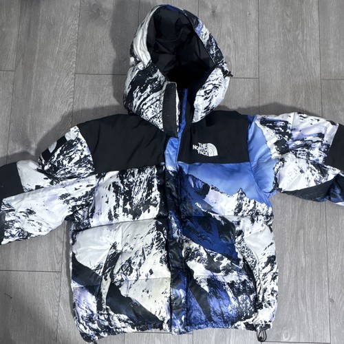 The north face men - north, hooded