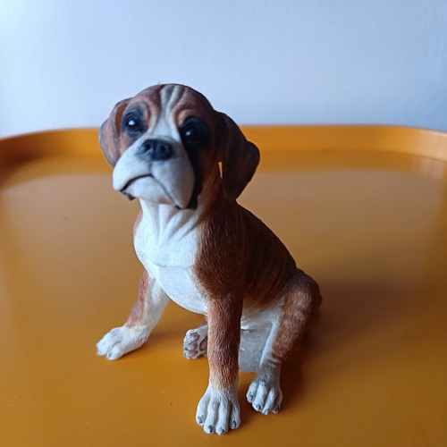 Country artists boxer puppy - country,