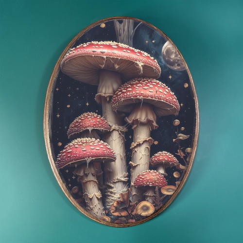 Red mushroom forest wooden - forest,