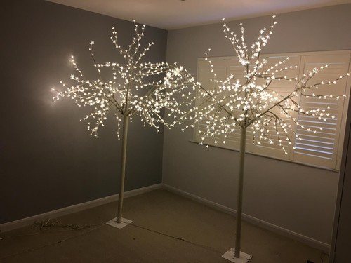 Led oriental blossom - blossom, tree