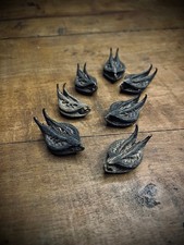 1 x Devil’s Pod, Bat Nut