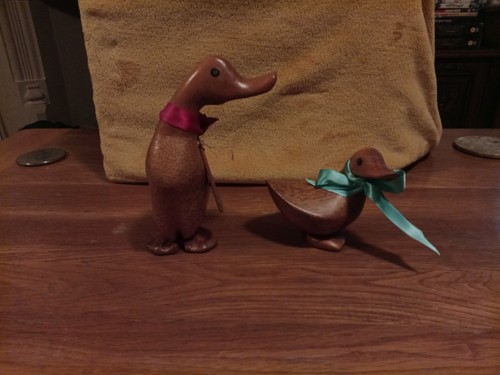The duck company molly - duck,