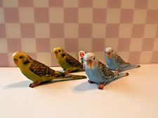 Schleich set of 4 Budgerigar