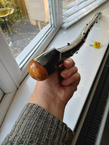 Irish blackthorn stick - stick,