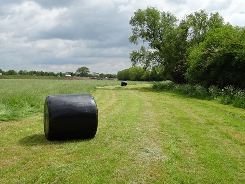 Photo 6x4 silage bales a - photo,