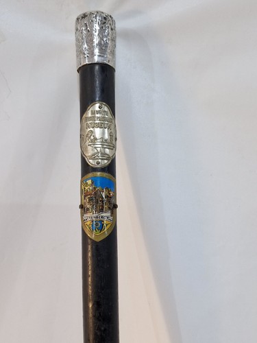 Silver topped waling stick