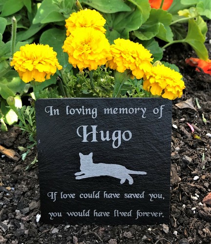 Personalised engraved pet - engraved,