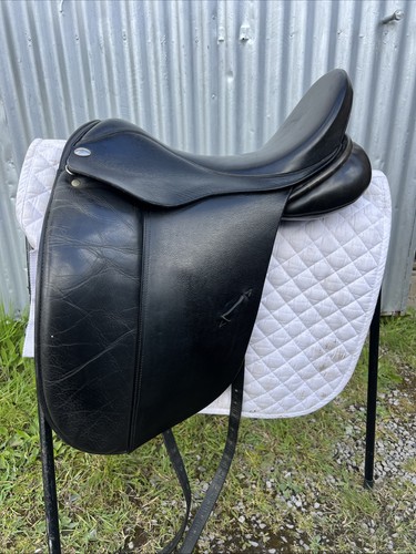 Nathaniel underwood dressage - nathaniel,