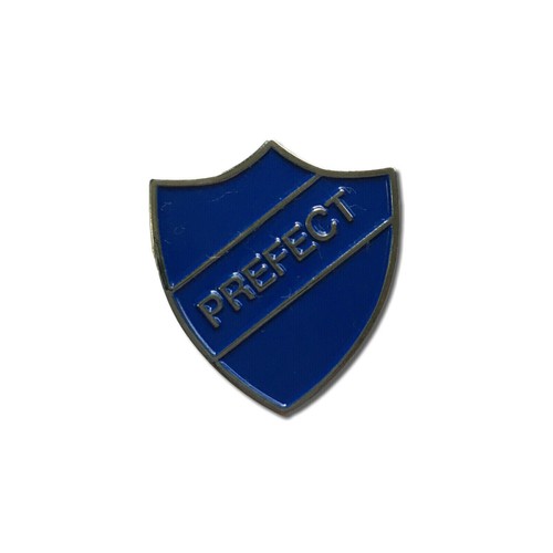 Blue school prefect - school, enamel