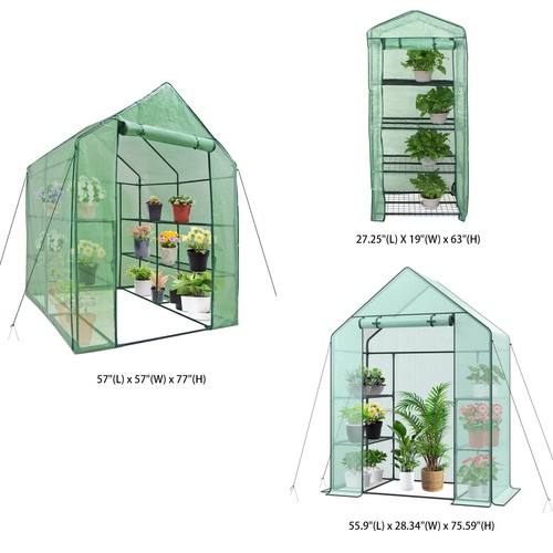 Mini greenhouse plants flower - plants,